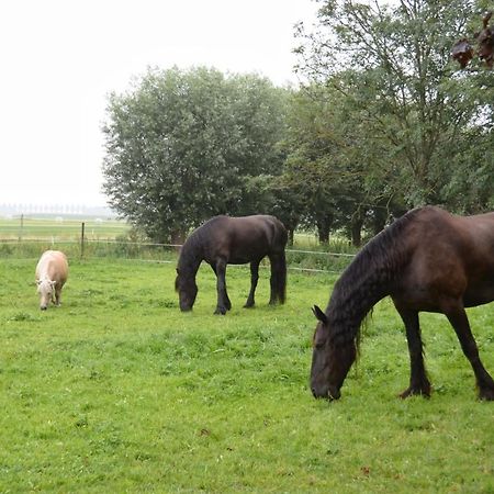 Apartment Het Friesche Paard Purmer Zewnętrze zdjęcie