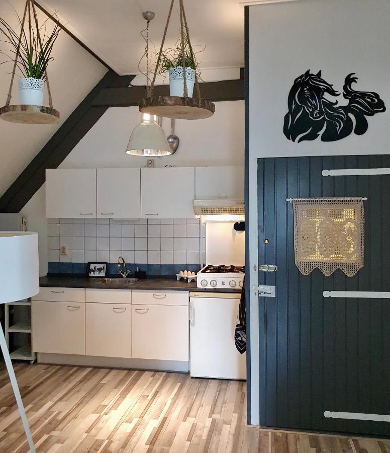 Apartment Het Friesche Paard Purmer Zewnętrze zdjęcie